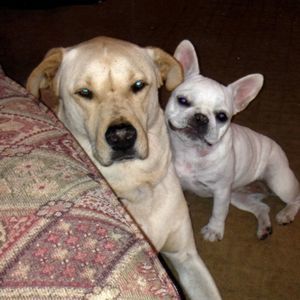 Meet your Posher, Anthony